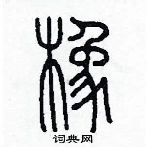 木象|木字旁右边加一个象字念什么？